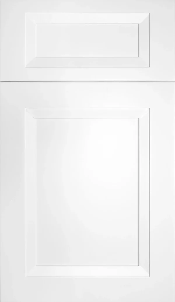 Fabuwood Onyx Frost Cabinets Door in Columbus Ohio