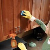 How to Disinfect Kitchen Cabinets? | Columbus Cabinets City